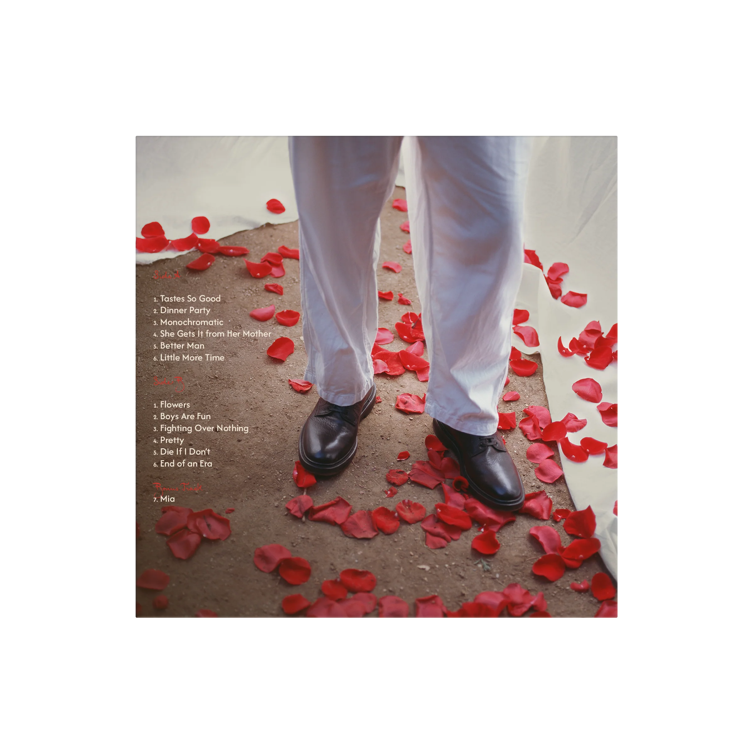 Dinner Party - Target Exclusive Merlot Vinyl - Image 8